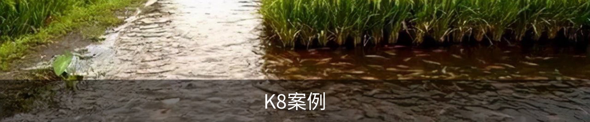 K8案例